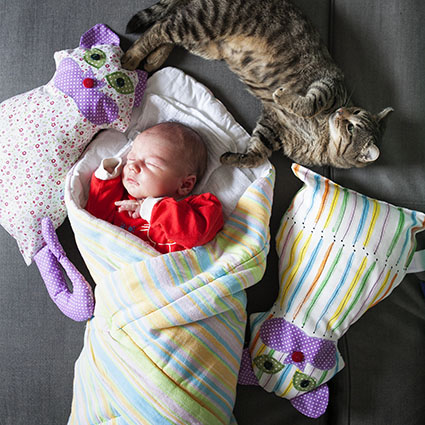 kot i dziecko w domu
